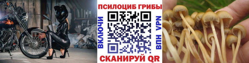 Псилоцибиновые грибы ЛСД  Прохладный 